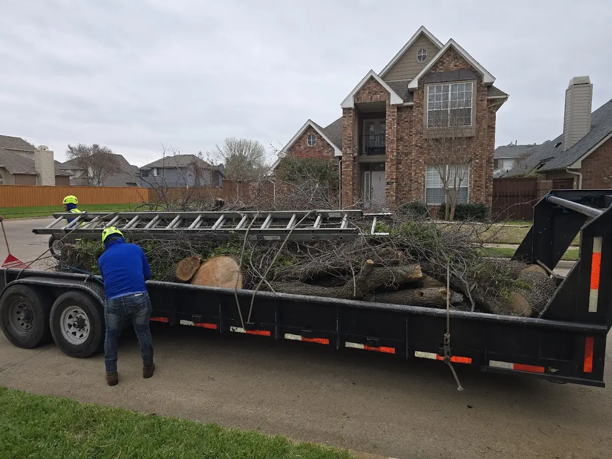 Expert Tree Pest Control with proper safety equipment in Happy